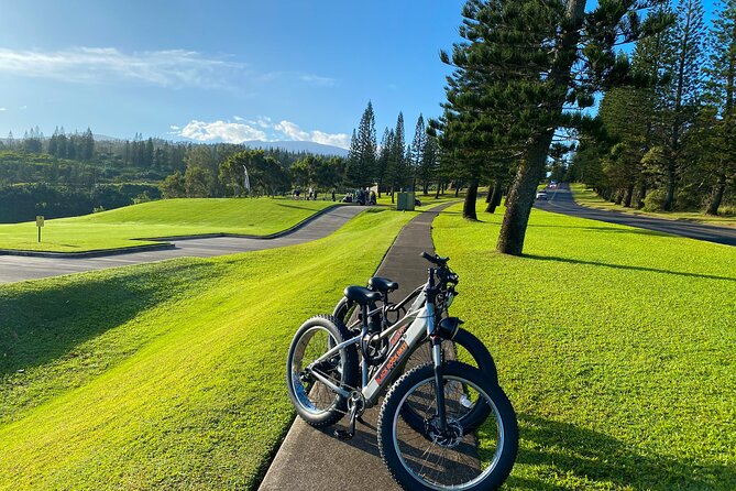 West Maui Electric Bike Rentals - Meeting and Pickup