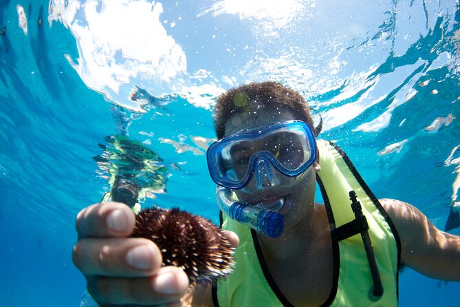 West Oahu Hawaiian Green Sea Turtle, Dolphin Snorkel Sail W Lunch - Negative Experiences