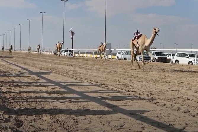 West Of Qatar, Mushroom Rocks, Camel Racing Track, Richard Serra - The Sum Up