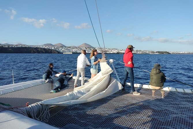 Whale & Dolphin Observation on Silent Catamaran With Hydrophone - Additional Information