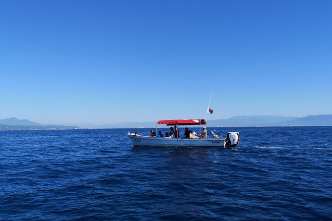 Whale Encounter Puerto Vallarta - Directions