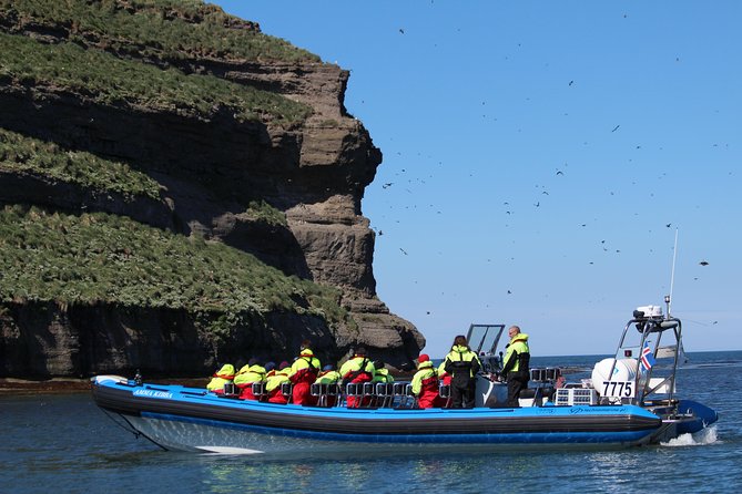 Whale Safari and Puffins RIB Boat Tour From Húsavík - Tour Cancellation Due to Weather