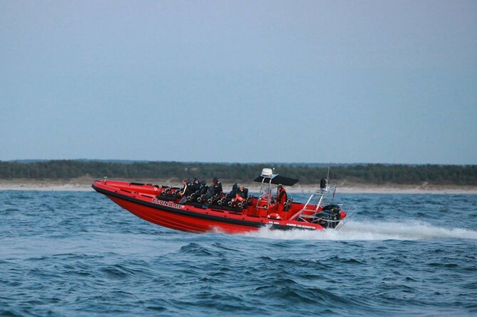 Whale Watching by RIB Speedboat From Downtown Reykjavik - Common Questions