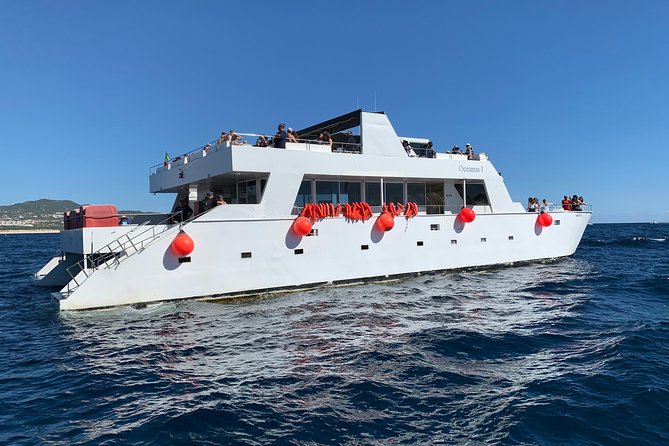 Whale Watching Cruise in Cabos San Lucas and Ground Transportation - Directions to the Whale Watching Cruise