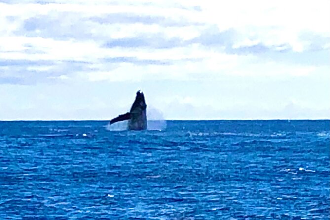 Whale Watching & Late Breakfast Cruise in Honolulu - The Sum Up