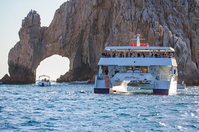 Whale Watching Lunch Cruise in Cabo San Lucas - The Sum Up