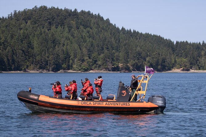 Whale Watching Tour in a Zodiac Boat in Victoria - Common Questions