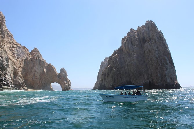 Whale Watching Tour in Glass Bottom Boat (VisitA Cabo) - Common Questions