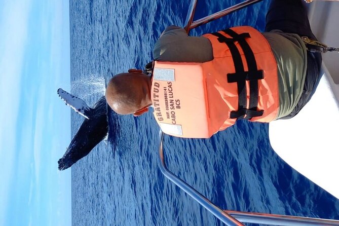 Whale Watching With Hydrophone in Cabo San Lucas - Common Questions
