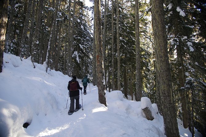 Whistler Small-Group Full-Day Snowshoe Tour - Confirmation and Accessibility