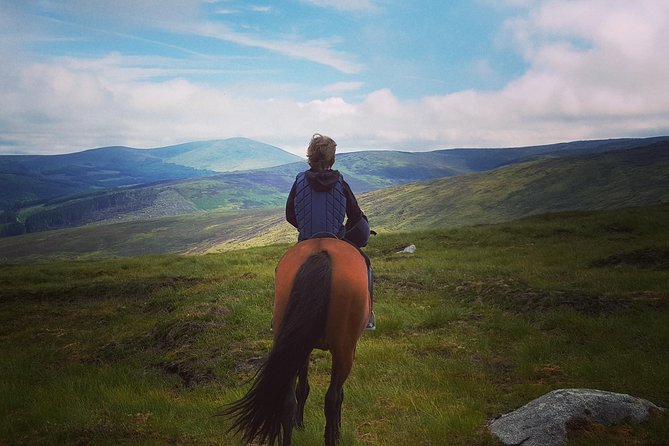 Wicklow Monutains Horse Trekking - Good To Know