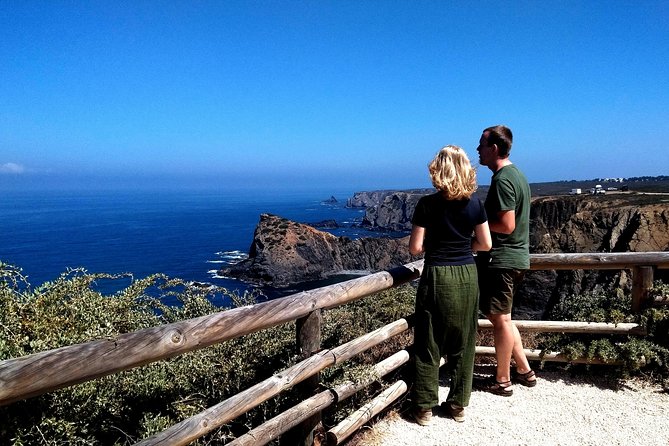 Wild and Wonderful West Coast Full Day Tour - Recommendations and Testimonials