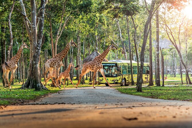 Wild & Wonderful! VinWonders & Safari Park Adventure by ODEON - Cancellation Policy
