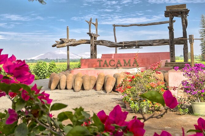 Wine and Pisco Tasting Experience by Caravedo and Tacama in Ica - Enhancing the Experience With Food Pairings