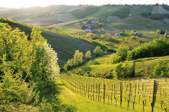 Wine Experience Bologna Hills - Directions