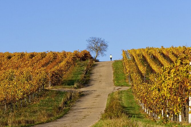 Wine & Food Tour in Sardinia : Small Group - The Sum Up