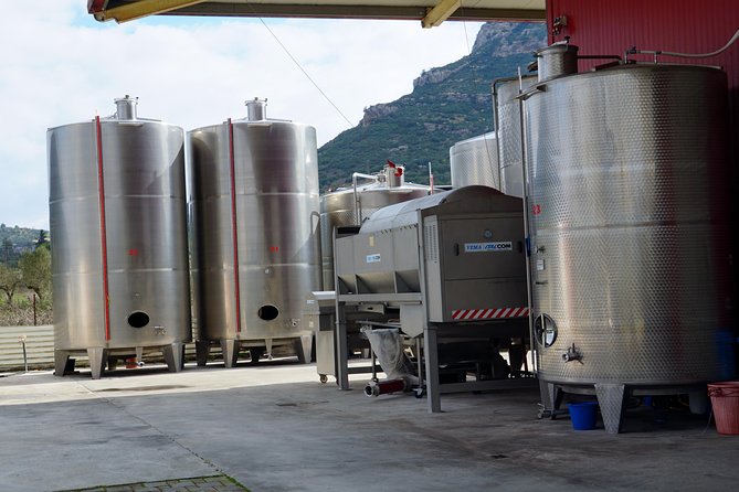 Wine Roads Private Day Tour: Corinth - Ancient Nemea & Wine Tasting - Traveler Reviews