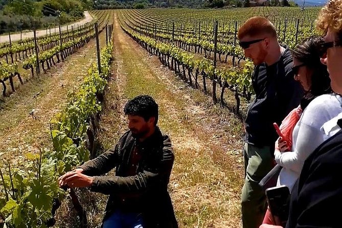Wine Safari! Off-Road Wine Tasting in Private Winery in Tuscany! - Common Questions