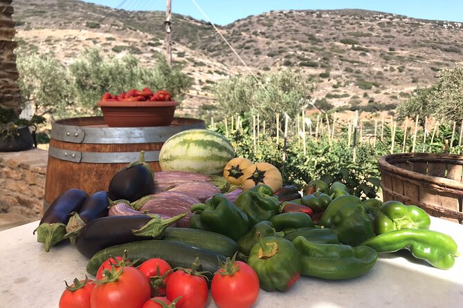 Wine Tasting and Tour in Saint Anna Winery in Naxos - The Sum Up