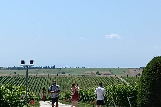 Wine Tasting Experience From Thessaloniki - Common Questions