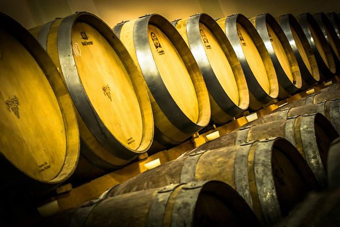 Wine Tour and Tasting in Nocciano - Testimonials From Previous Travelers