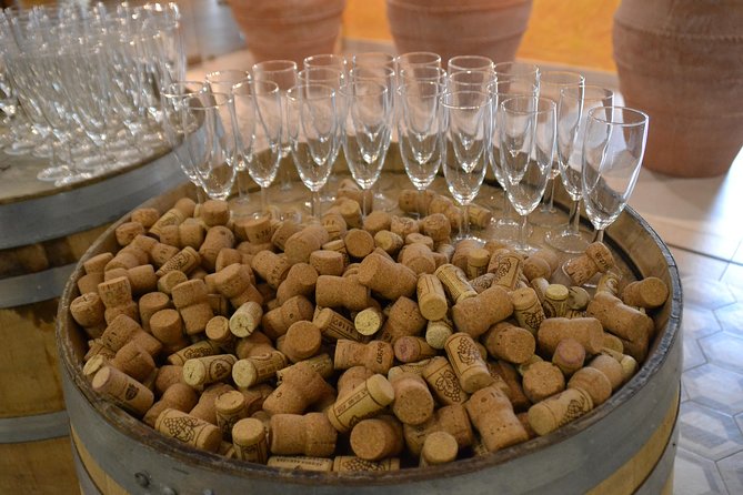Wine Tour Experience for Family or Friends Group - Tips for a Memorable Wine Tour