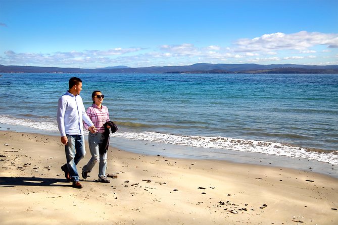 Wineglass Bay And Maria Island Wildlife Scenic Flight From Hobart - Traveler Reviews and Ratings