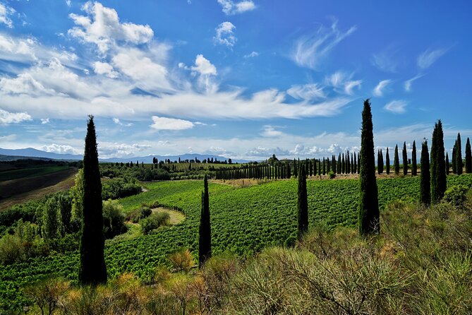 Winery Tour & Wine Tasting in Montalcino - Lowest Price Guarantee