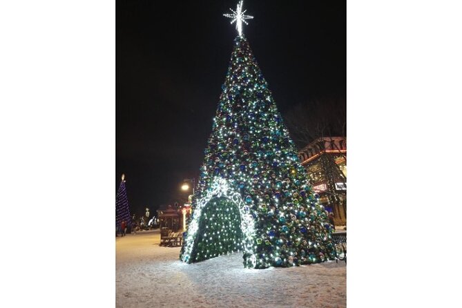 Winterfest Scenic Evening Tour - Common Questions