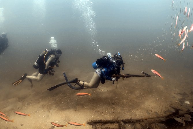Wreck and Bridge Span Dive Charter for Certified Divers - Viator Help Center and Product Code