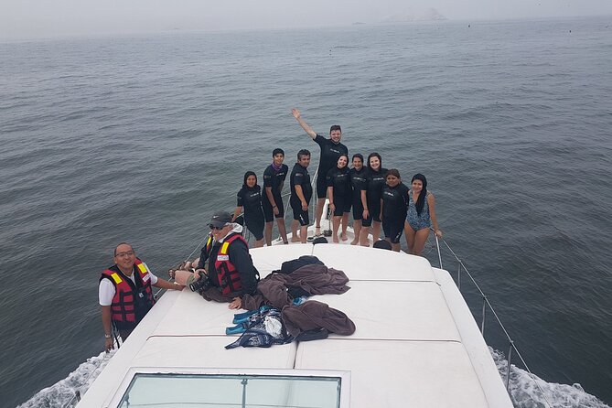 Yacht Tour to Palomino Islands to Swim With Sea Lions - The Sum Up