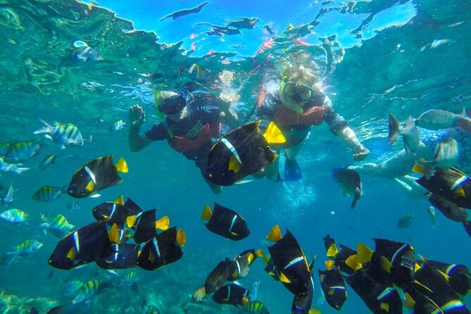 Yelapa Beach & Snorkel Tour Aboard a Luxury Yacht -Private Groups - Common Questions