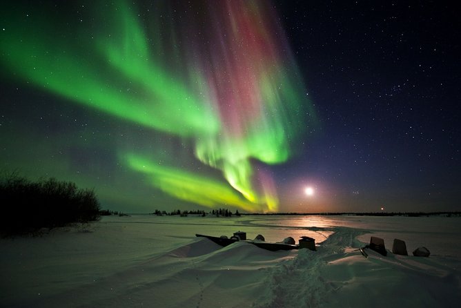 Yellowknife Tours - Aurora by Bus - Common Questions