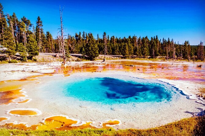 Yellowstone National Park 6-Day Tour From Vancouver (Chn&Eng) - Common Questions