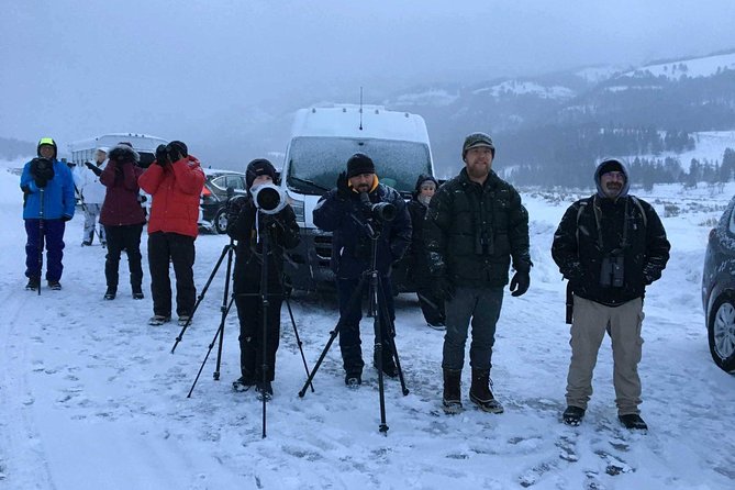 Yellowstone Winter Wildlife 4-Day Tour  - Gardiner - Copyright and Terms & Conditions