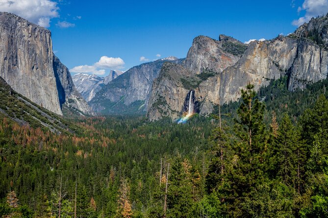 Yosemite and Giant Sequoias Day Tour - Free Time and Wrap-Up