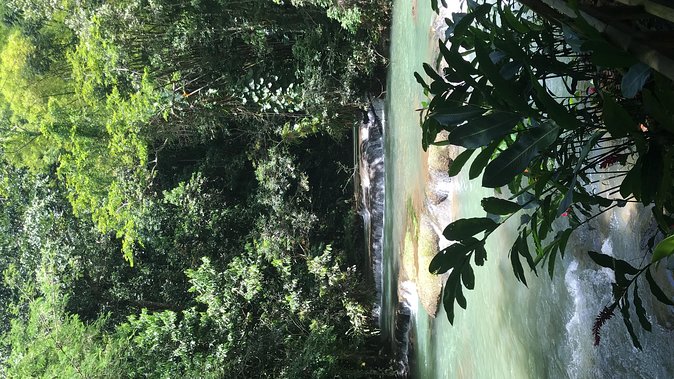 YS Falls Private Full-Day Adventure Tour With Pickup - Important Tips for the Tour
