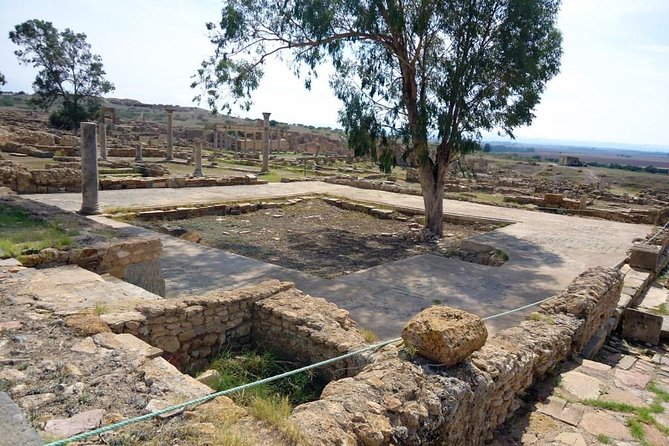 Zaghouan, Thuburbo Majus and Dougga Private Self-Guided Excursion From Hammamet - Customer Reviews and Ratings
