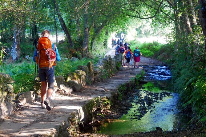 7-Day Tour of the French Way of Santiago From Sarria - Good To Know