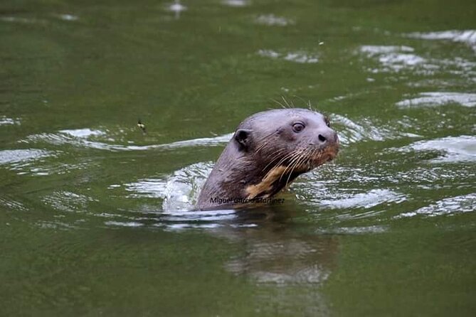 7 Days and 6 Nights Private Tour Manu National Park in Cusco - Good To Know