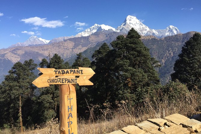 7 Days Ghorepani Poonhill Ghandruk Trek From Kathmandu - Transportation and Accommodation