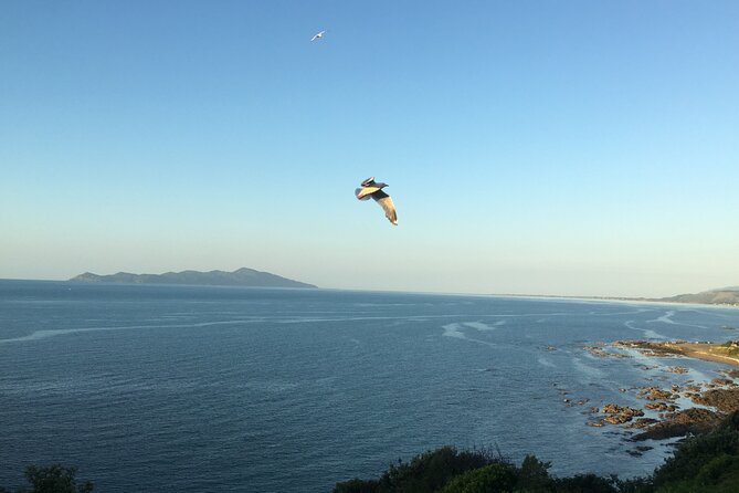 7-Hour Private Scenic Kapiti Coast Tour From Wellington