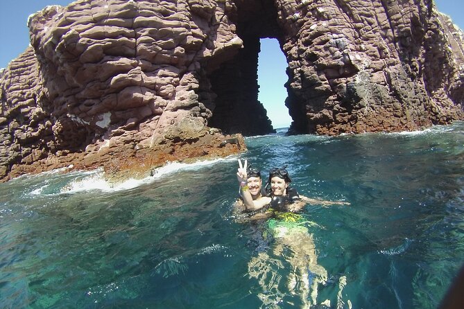 1 Day Espiritu Santo Island Wonders, Sea Lions and Paddleboard Adventure - The Sum Up