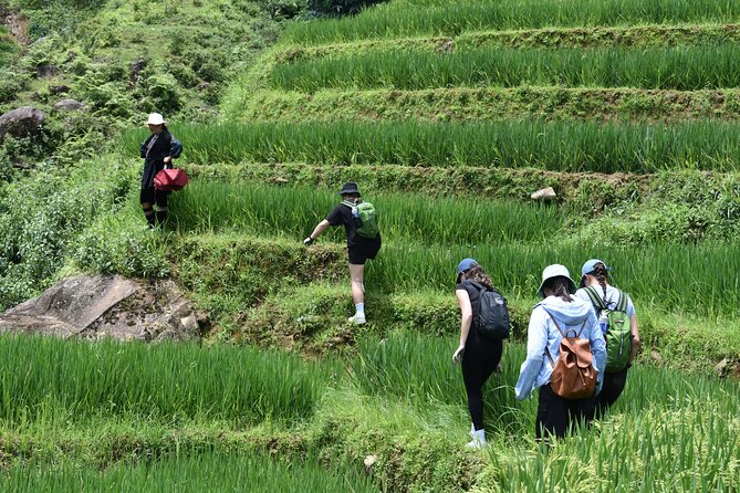 1-Day Private Trekking in Sapa Through Terraces Rice Fields - Common Questions