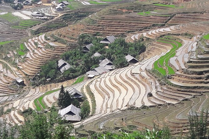 1 Day Sapa Authentic Trekking ( off Beaten Track ) - Interacting With Local Hilltop Communities