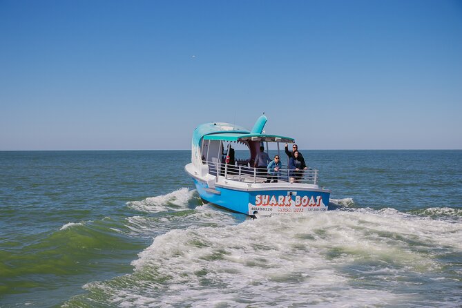 1-Hour Dolphin Sightseeing Adventure Cruise From Madeira Beach - The Sum Up