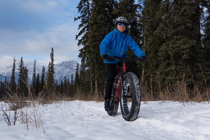 1-Hour Guided Group Fat Bike Tour - The Sum Up