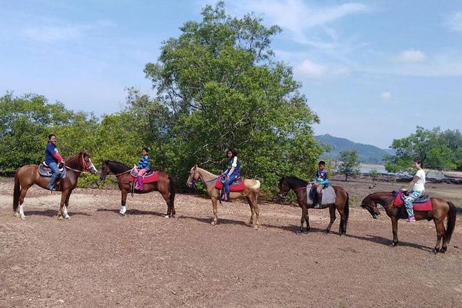 1 Hour Horse Riding Tour On The Beach Krabi - Common Questions