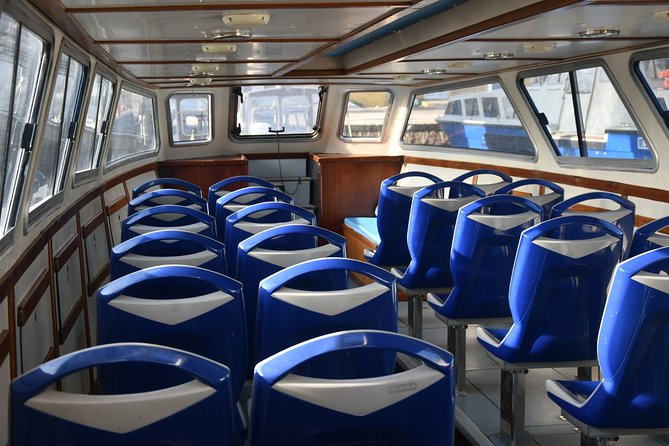 1-Hour Panoramic Tour of Venice by Boat - Pricing, Questions, and Terms