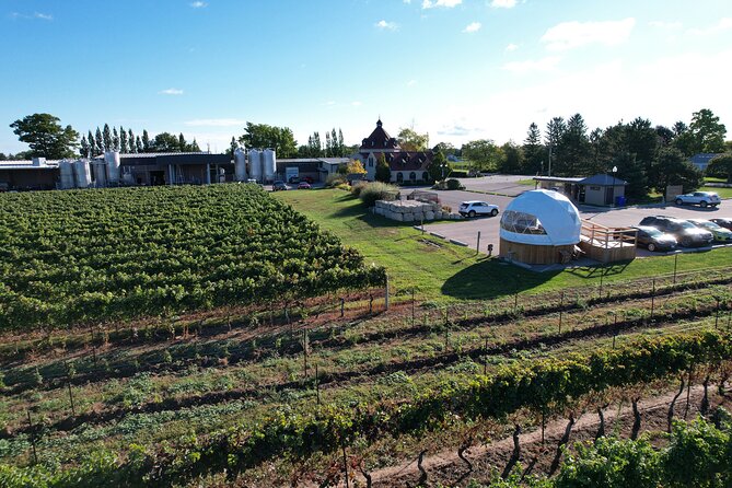 1 Hour Private Vineyard Dome Experience in Niagara-on-the-Lake - Final Thoughts and Booking Information